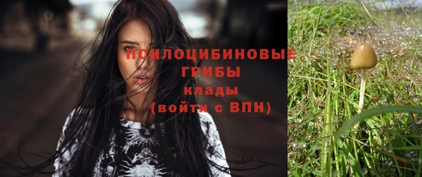 винт Зерноград