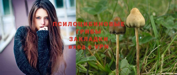 ПСИЛОЦИБИНОВЫЕ ГРИБЫ Зеленокумск