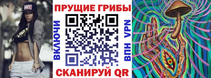 Псилоцибиновые грибы Psilocybine cubensis  Купить  Иланский 